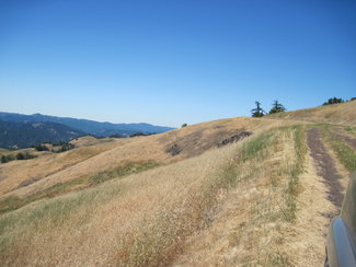 westerly facing meadows.