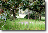 Florida Ranch Land 207 Acres Old Kissimmee Ranch