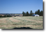 200 crop acres, Large New shop/apt, Views!