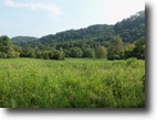 96.83 Acres on Big Bottom Road