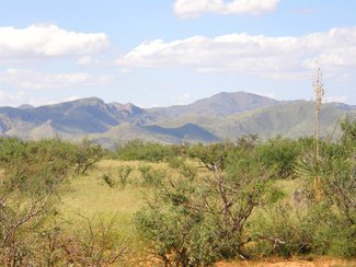 The Little Dragoon Mountains to the north.