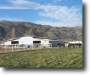 California Farm Land 40 Acres Horse Farm or Multi- Use Ag Property