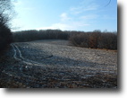 80 Acres, 40 Mature Wood 40 tillable