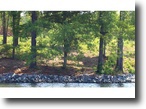 South Carolina Waterfront 1 Acres Fantastic Deal on Lake Wateree $104,900