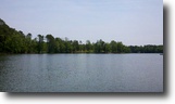 South Carolina Waterfront 1 Acres Luxurious Lakefront Homesite $94,900