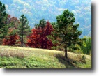 Oklahoma Ranch Land 180 Acres 180 ac Hunting Land in Wildlife Area SE OK