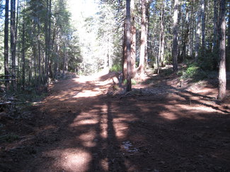 Secluded, wooded 40 Acres near Boonville