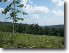 Arkansas Farm Land 38 Acres 38 Ac, Mountain View, $77,000