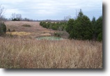 54 Acres With Endless Possibilities
