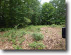 21.75 Acre Wes Dailey Rd.