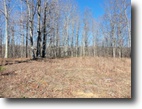 22.71 Acres Benton Tidwell Rd.