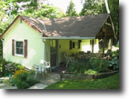 A Cheerfully Cozy Home On A Treed Lot