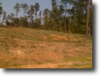 Louisiana Land 5 Square Feet Land in Lake Livingston Community, TX