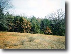 4.24 Acres Dover AR Linker Mountain