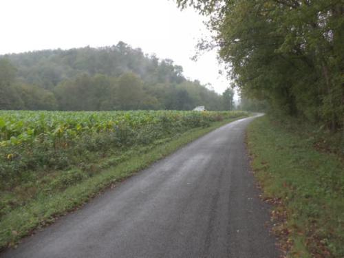 land on pine lick rd tract property whitleyville tennessee