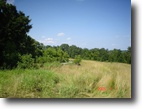 6.7 Acres in Breckinridge Co.