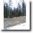 80 acres Carlton Co., MN