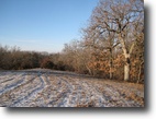 Iowa Hunting Land 43 Acres 43 ac of Quality Deer Habitat