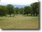 Beautiful 160 acres in two parcels