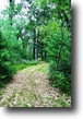 Lake Petenwell Wooded Acreage Lake Access