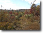 14 Acres in Monroe County