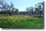 Texas Land 15 Acres 000 Lone Star Rd