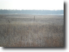 80 acres Freeborn Co., MN