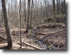 Tennessee Farm Land 37 Acres Beautiful Hardwoods & Rock Climbing
