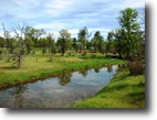 80 acres ready to build on