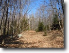 Adirondack Park Private Forest 183 acres !
