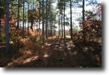 Wisconsin Waterfront 2 Acres Exclusive WI lake estate, EZ financing