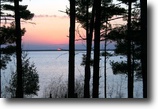 A steal for Wooded acreage with lake right