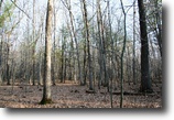 Wisconsin Land 2 Acres Great price on Woods, Water & Boat Slip