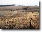 Iowa Farm Land 114 Acres 114 ac, Wapello Co