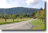 Spectacular Acreage!! Horse lovers dream!!