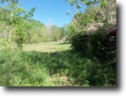 36.49 Acres on Indian Creek