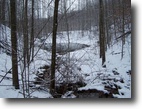 Kentucky Farm Land 91 Acres Attn: Hunters! Great Hunting Property!