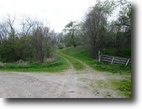 Iowa Farm Land 87 Acres Wildlife Habitat with Income!