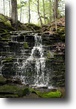 New York Hunting Land 43 Acres Farm Estate Liquidation! Waterfall!