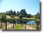 California Farm Land 22 Acres Poleeko Vineyard Property
