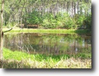 72.4 Acres Timber/Hunting Land