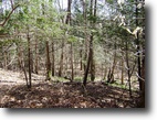 73 acres Diana NY Lewis County