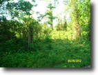 Nice Farm in Elliott Co! 133 +/- Acres