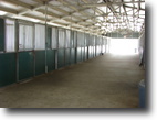 Florida Ranch Land 74 Acres South Fl Royale Equestrian Facility 4 Sale