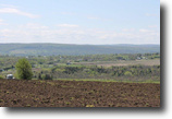 67 Acres Farmland with Barn