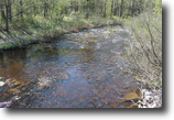 57 Acres Borders State Forest Trout Stream