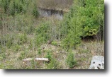 Michigan Waterfront 148 Acres TBD Luke Rd   MLS #1066354