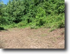 25 Acres Brown Hollow Rd.