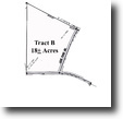 18.996 and 54.06 Acres, Chesterfield Co,SC