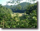 West Virginia Hunting Land 131 Acres 1 Schoolhouse Road  MLS 102091